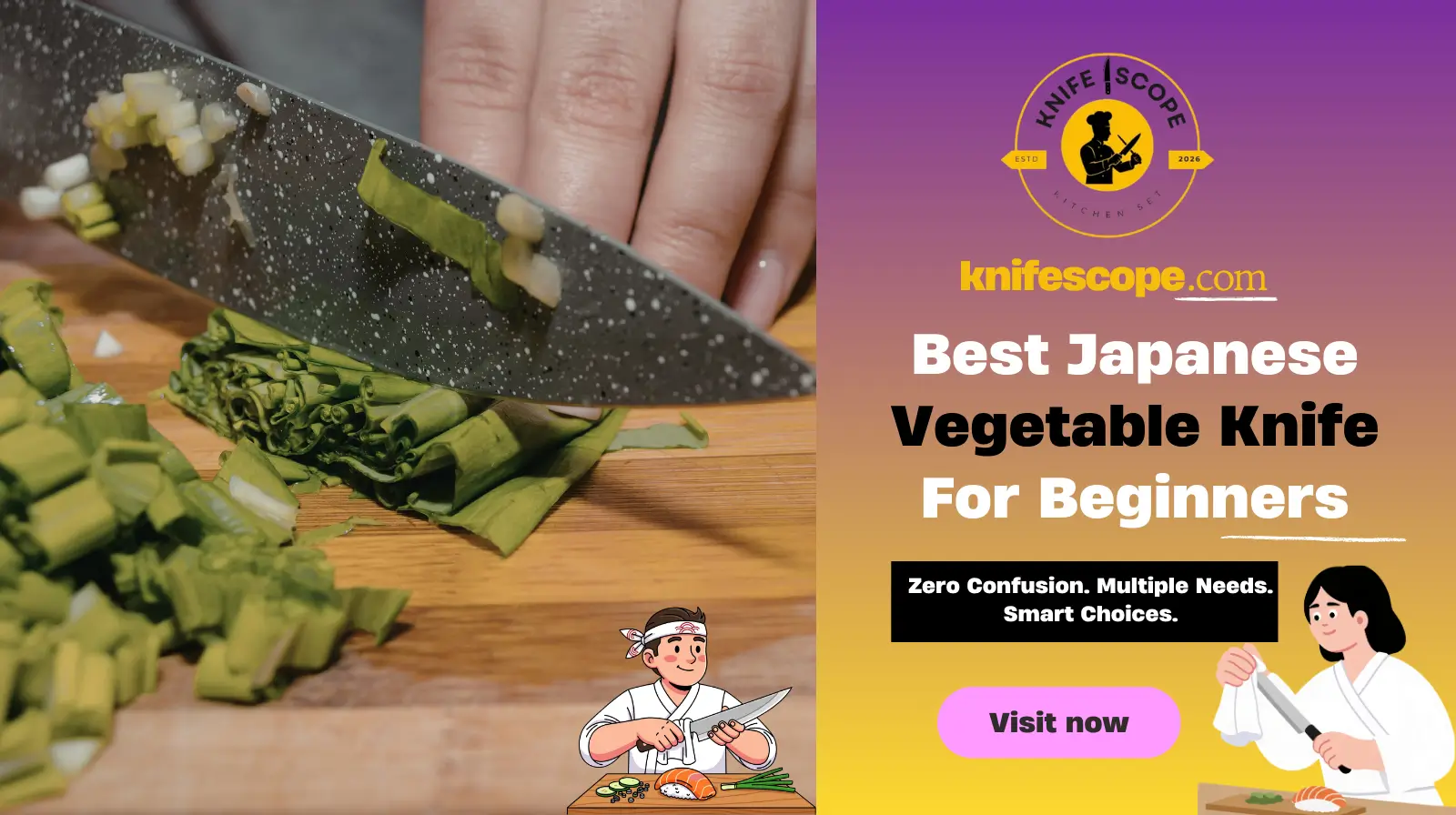 Best Japanese Vegetable Knife For Beginners