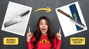 Bunka Vs Santoku Knife