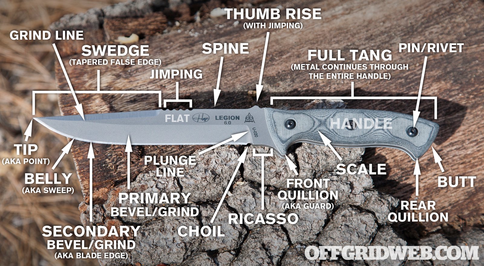 Knife Blade Anatomy